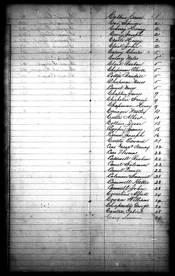 p. 7