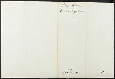 p. 8