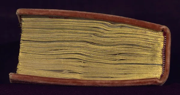 Binding from Book of Hours in Dutch
