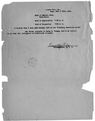 Mallein Test Record