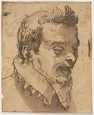 Head of a Man