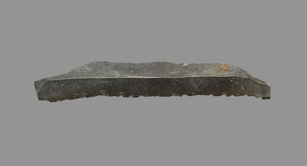 Sickle Blade