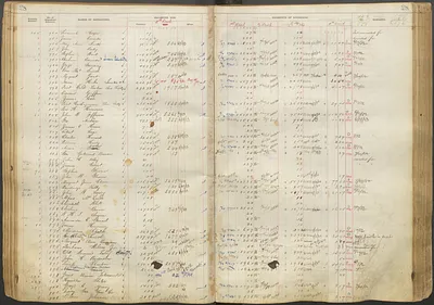 p. 29