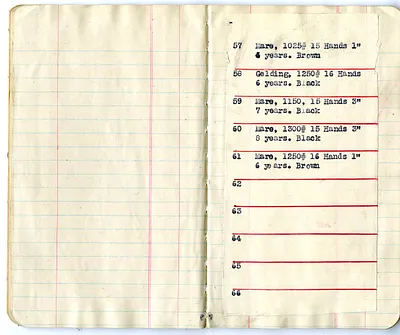 p. 8