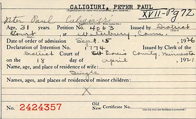p. 46