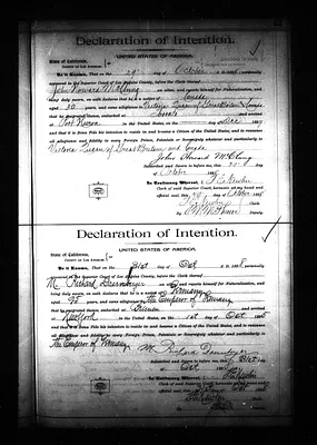 p. 31