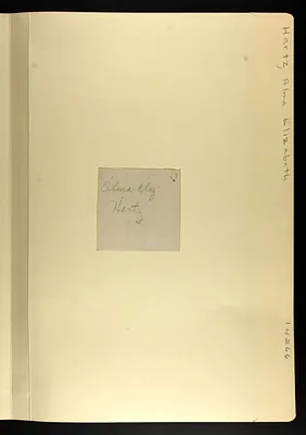 p. 4