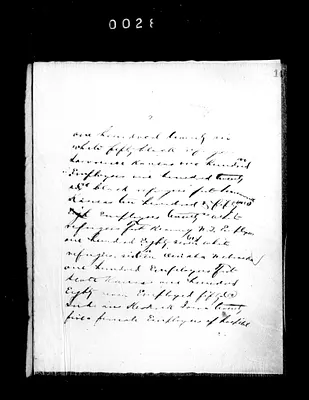 p. 50