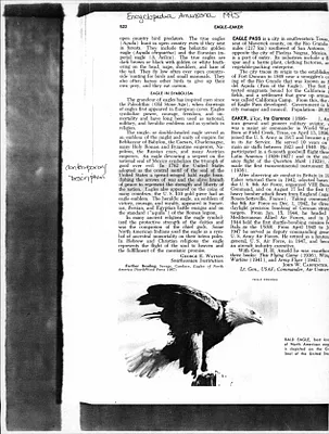 p. 29