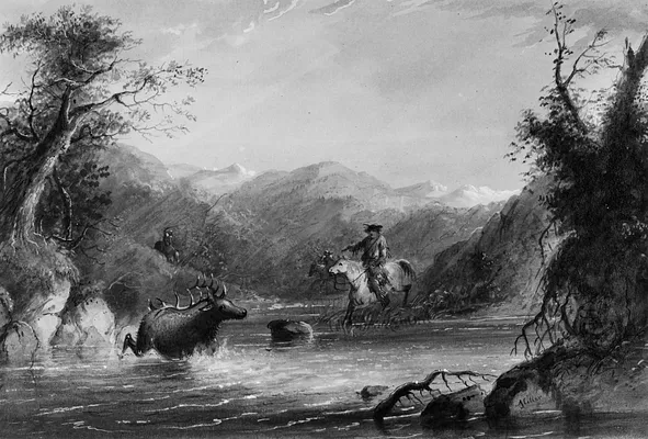 Hunting the Elk