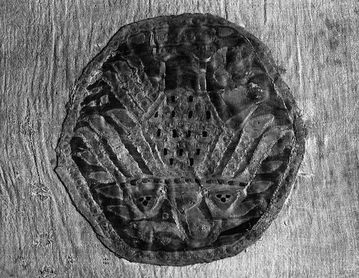 eagle