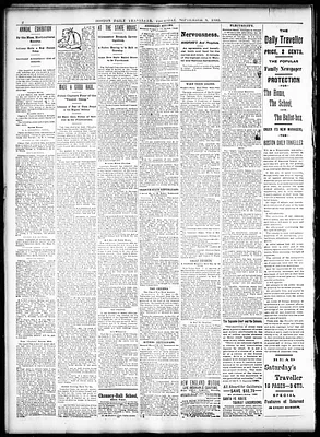 Boston Daily Traveller