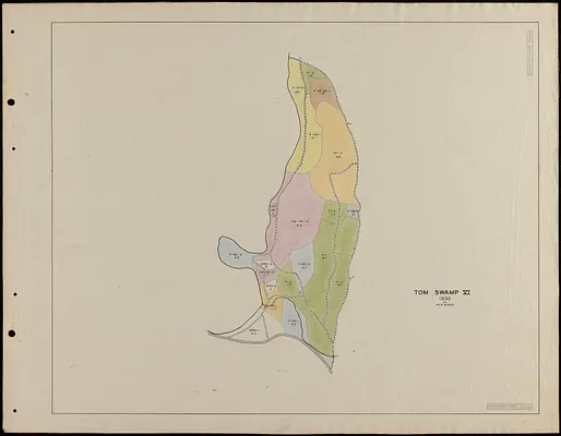 Tom Swamp VI 1930 stand map