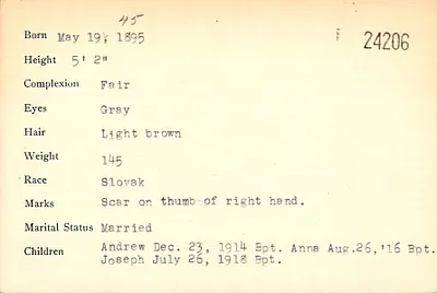 p. 33