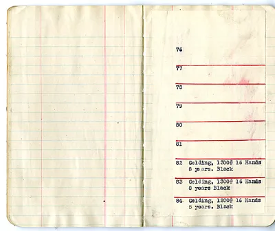 p. 10