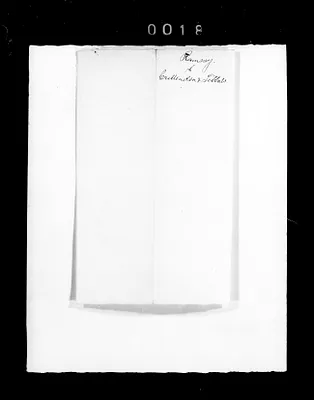 p. 29