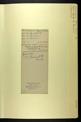 p. 8