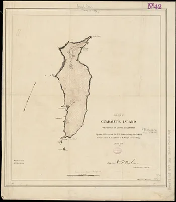 Sketch of Guadalupe Island