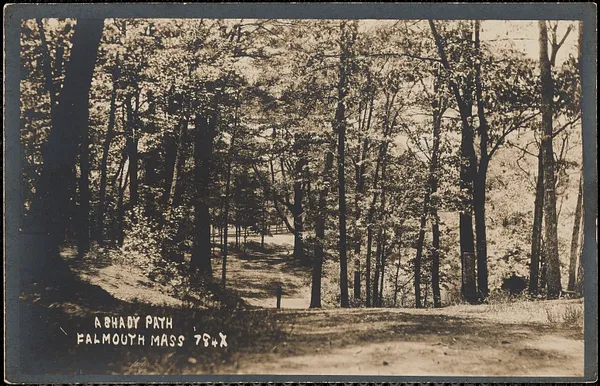 A Shady Path Falmouth Mass