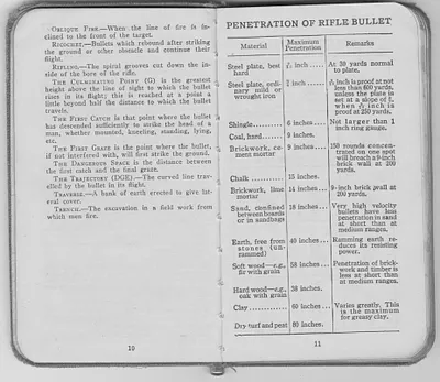 p. 8