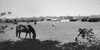 Northwest corner of Race Lane and Osterville - West Barnstable Road