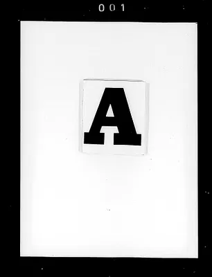p. 4