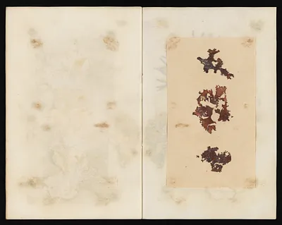 p. 36