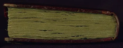 p. 7