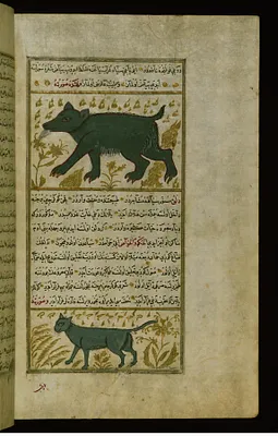 A Bear and a Hay-weasel