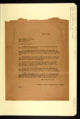 p. 33