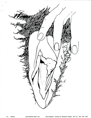 p. 46