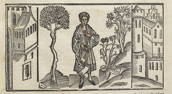 Comoediae
