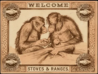Welcome stoves & ranges