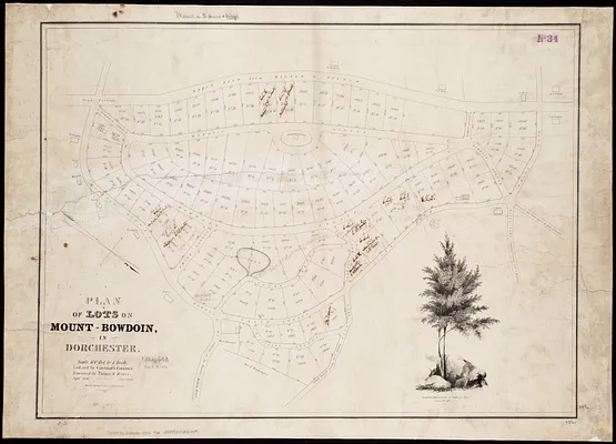 Plan of lots on Mount-Bowdoin in Dorchester
