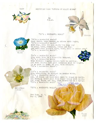 p. 11