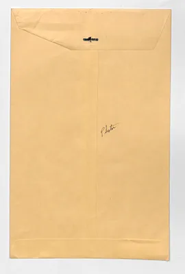 p. 6