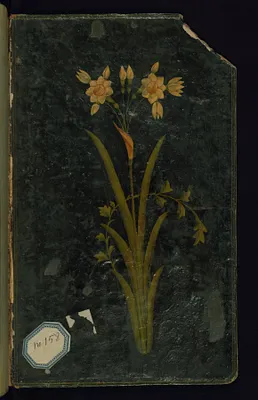 p. 2