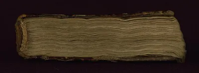 p. 7