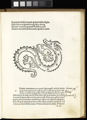 p. 4