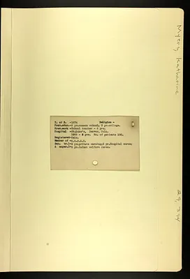 p. 7