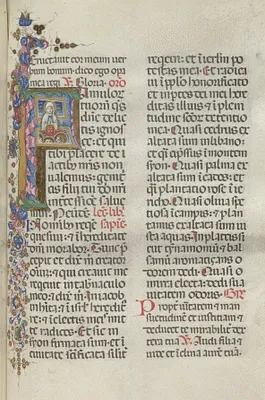 Missale: Fol. 306: Assumption of the Virgin