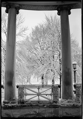 Maude & John Public Garden snow pictures