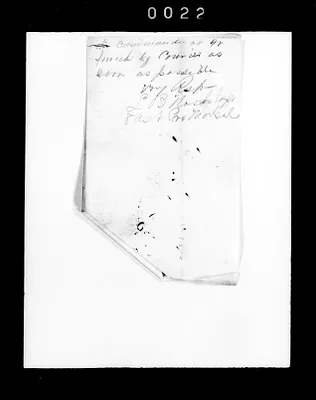 p. 33