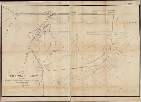 Plan of the receiving basin showing certain avenues and lines of release