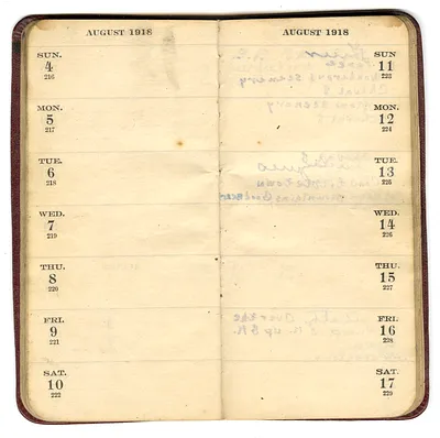 p. 41