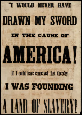 I would never have drawn my sword in the cause of America if I could have conceived that thereby I was founding a land of slavery!