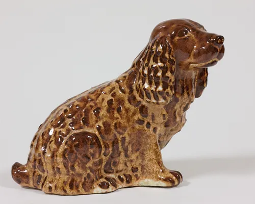 Spaniel
