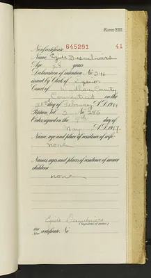 p. 43