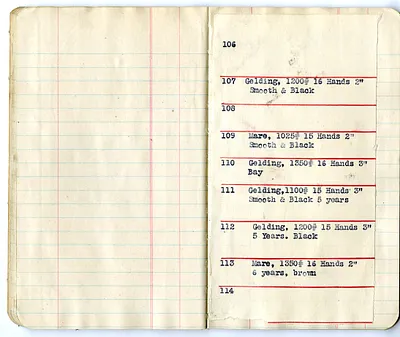 p. 14