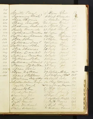 p. 31